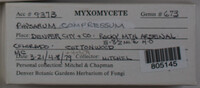Image Associated With the Occurence